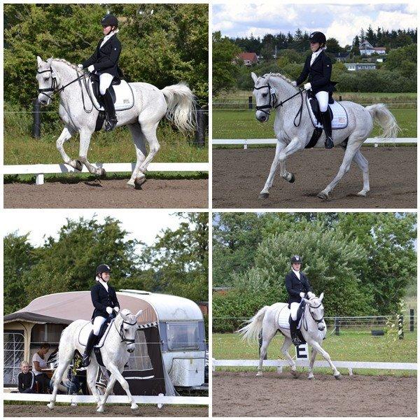 Connemara Hesselholt's Casano B-pony - PRI debut :-))) billede 13