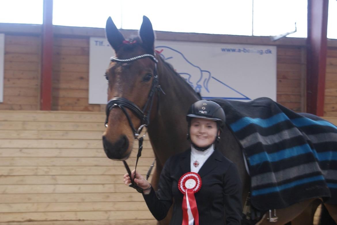 Dansk Varmblod STENKISTEKÆRS KITTE KRY *Kitte* - første stævne til 71,33 % d. 16/12-13! billede 14