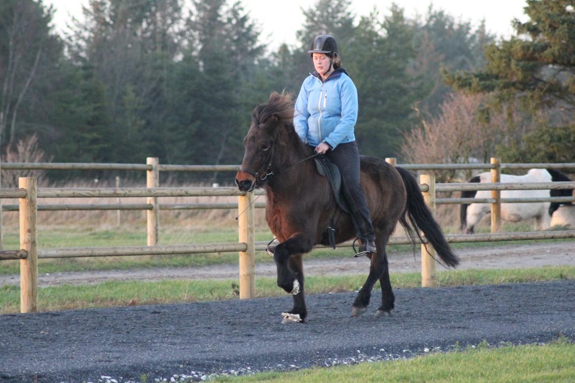 Islænder Eydis fra Valhalla billede 20