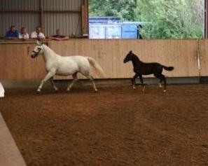 Frederiksborg BRAVA billede 9