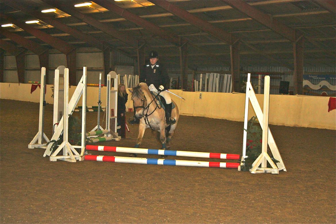 Fjordhest Hjorthøj´s Note - 15-12-13  springstævne, 
første spring som hun bliver meget bange for (baby kylling) billede 29