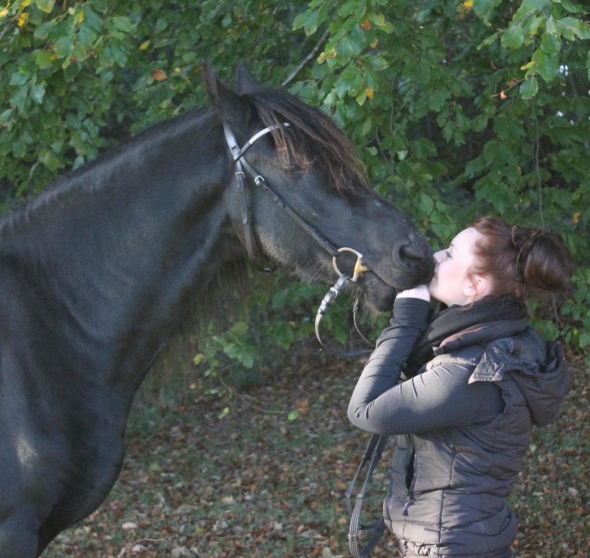 Frieser Elvis Af Nygaard billede 13