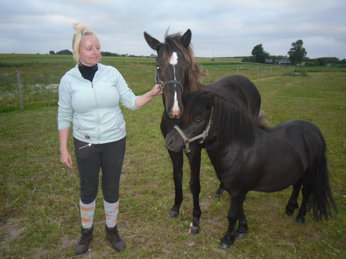 Anden særlig race Al Capone billede 6