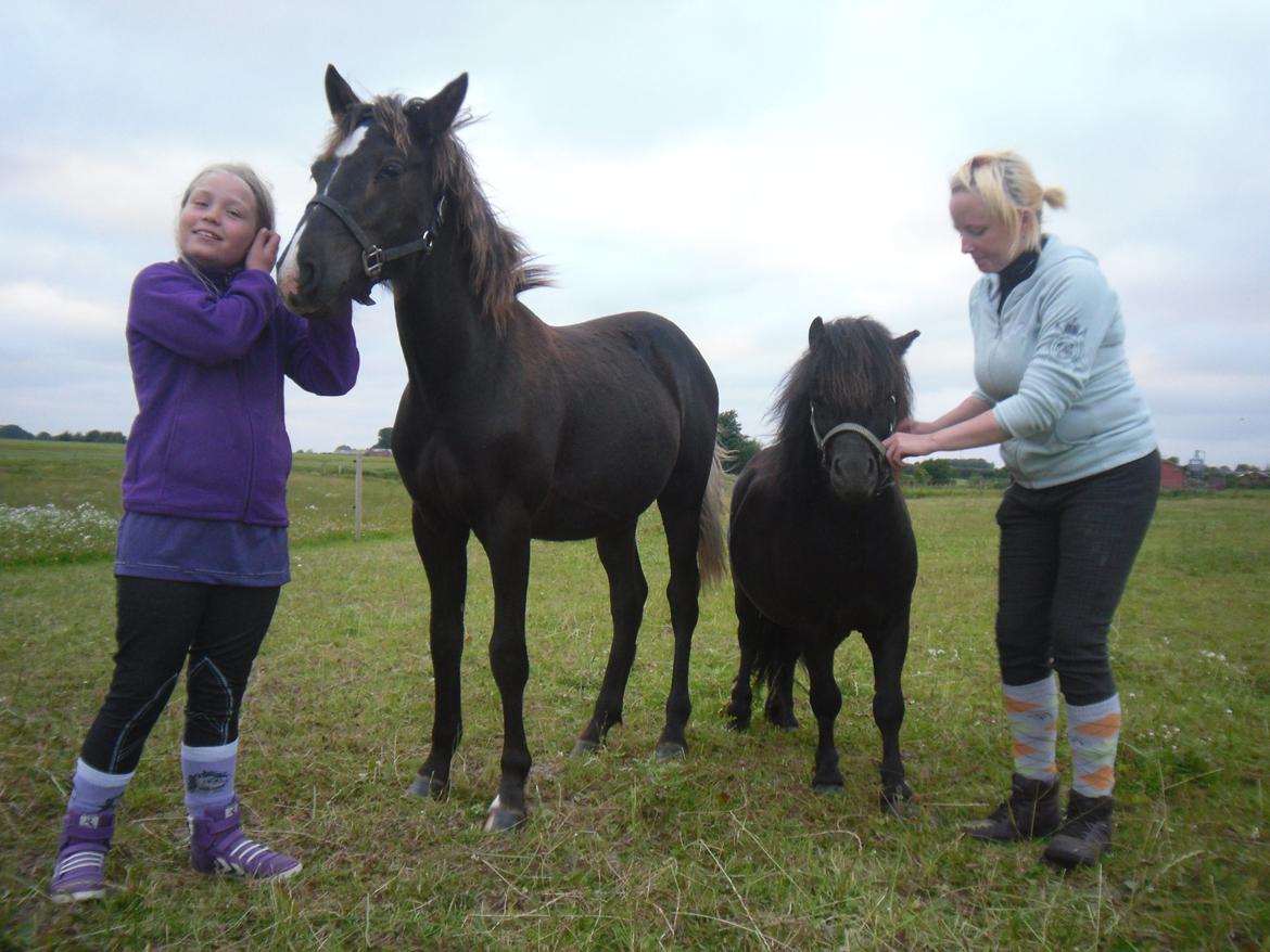 Anden særlig race Al Capone - Emilia, Capone, William og mor. billede 8