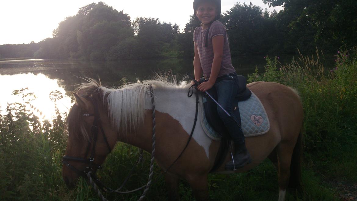 Anden særlig race Zita - Aftentur 2013 billede 14