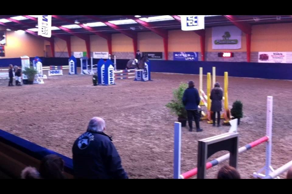 Irsk Sportspony Tullibards Honeydrum - Første stævne på Honey, fejlfri i LB og LA billede 6