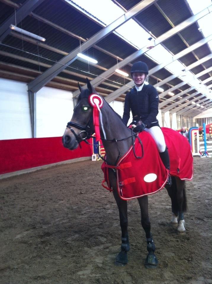 Irsk Sportspony Tullibards Honeydrum - Vinder af LB og nr. 2 i LA på Balleryp <3 billede 7