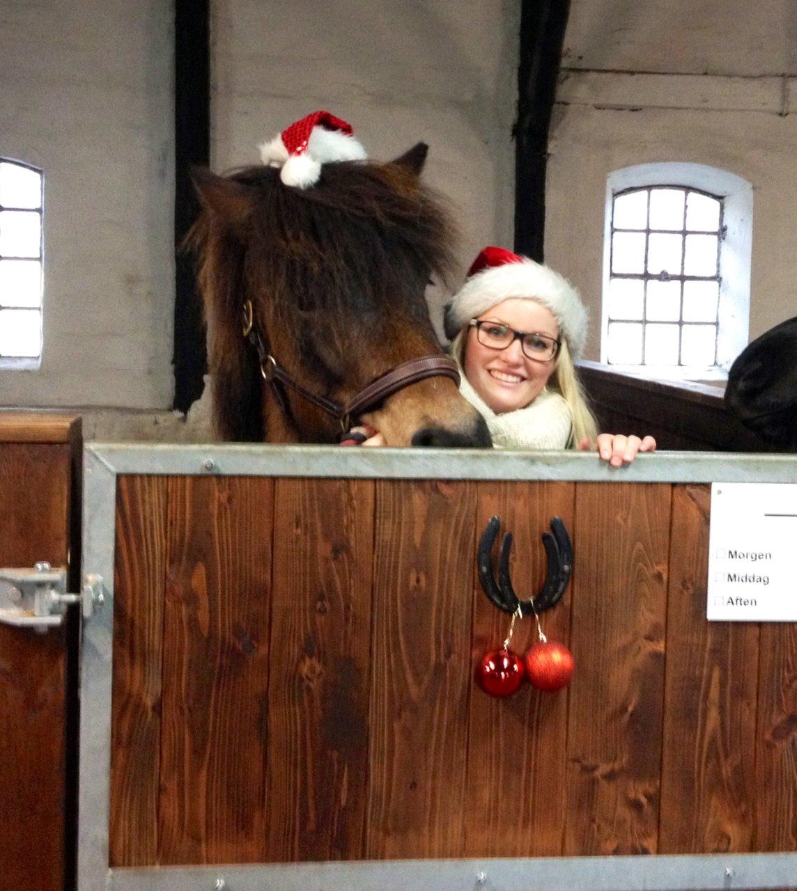 Islænder Fannar fra Gunderup billede 16