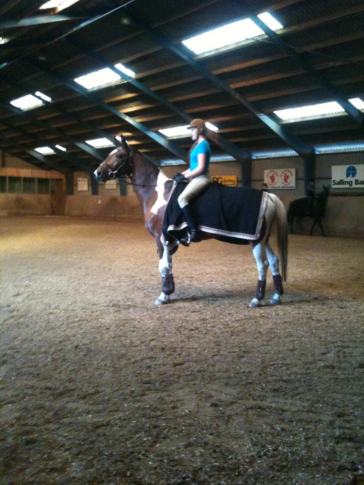 Pinto My Gucci - SOLGT billede 4