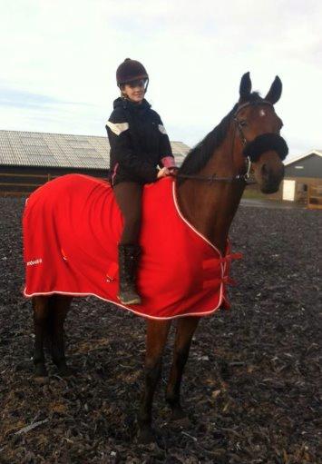 Dansk Varmblod Catlon Ravnes-have - Aflivet - Lone hesten billede 14