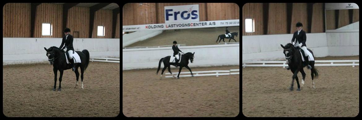 Anden særlig race Bertil - Bertil og jeg, december 2013. billede 11