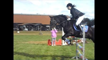 Anden særlig race Bertil - Bertil og jeg, springstævne i Toftlund, august 2013. billede 20