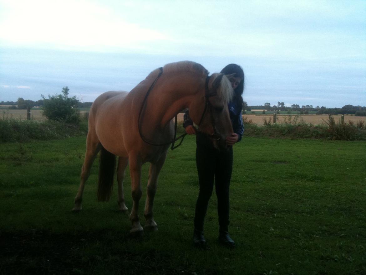 Fjordhest Stella - Sommer 2011/12 billede 15