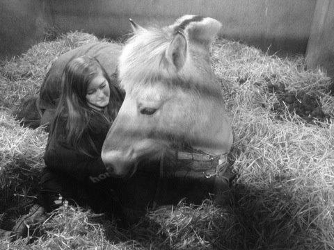 Fjordhest Stella - Vinter 2013 billede 4