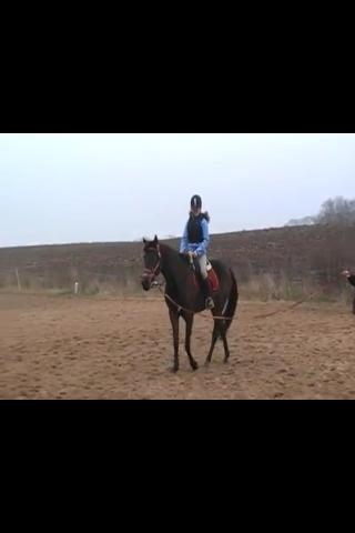 Fuldblod (XX) Stald-Bakkely's Tessa billede 31