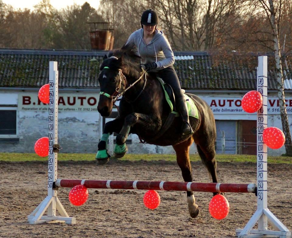 Anden særlig race Krumme *part* billede 7