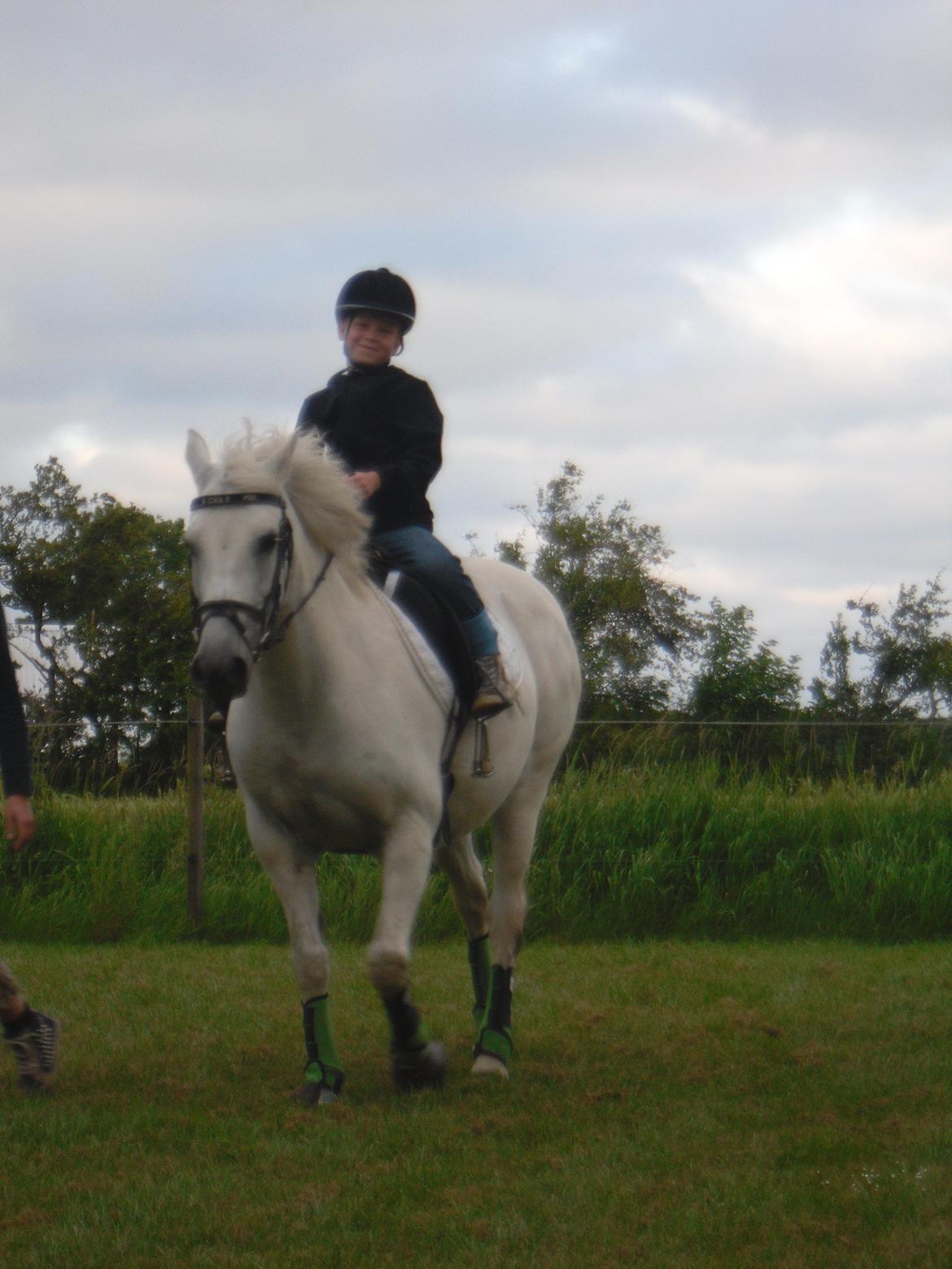 Connemara Schasmin billede 8