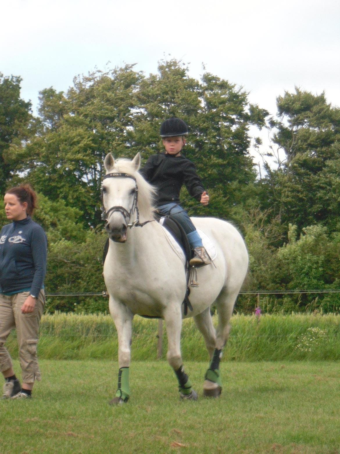 Connemara Schasmin billede 9