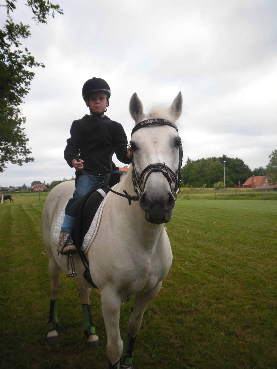 Connemara Schasmin - Andreas og Luna.... det er hygge :-) billede 1
