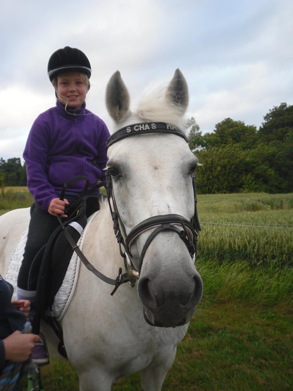 Connemara Schasmin - Emilia og tøsen! Mine to dejlige piger. billede 13