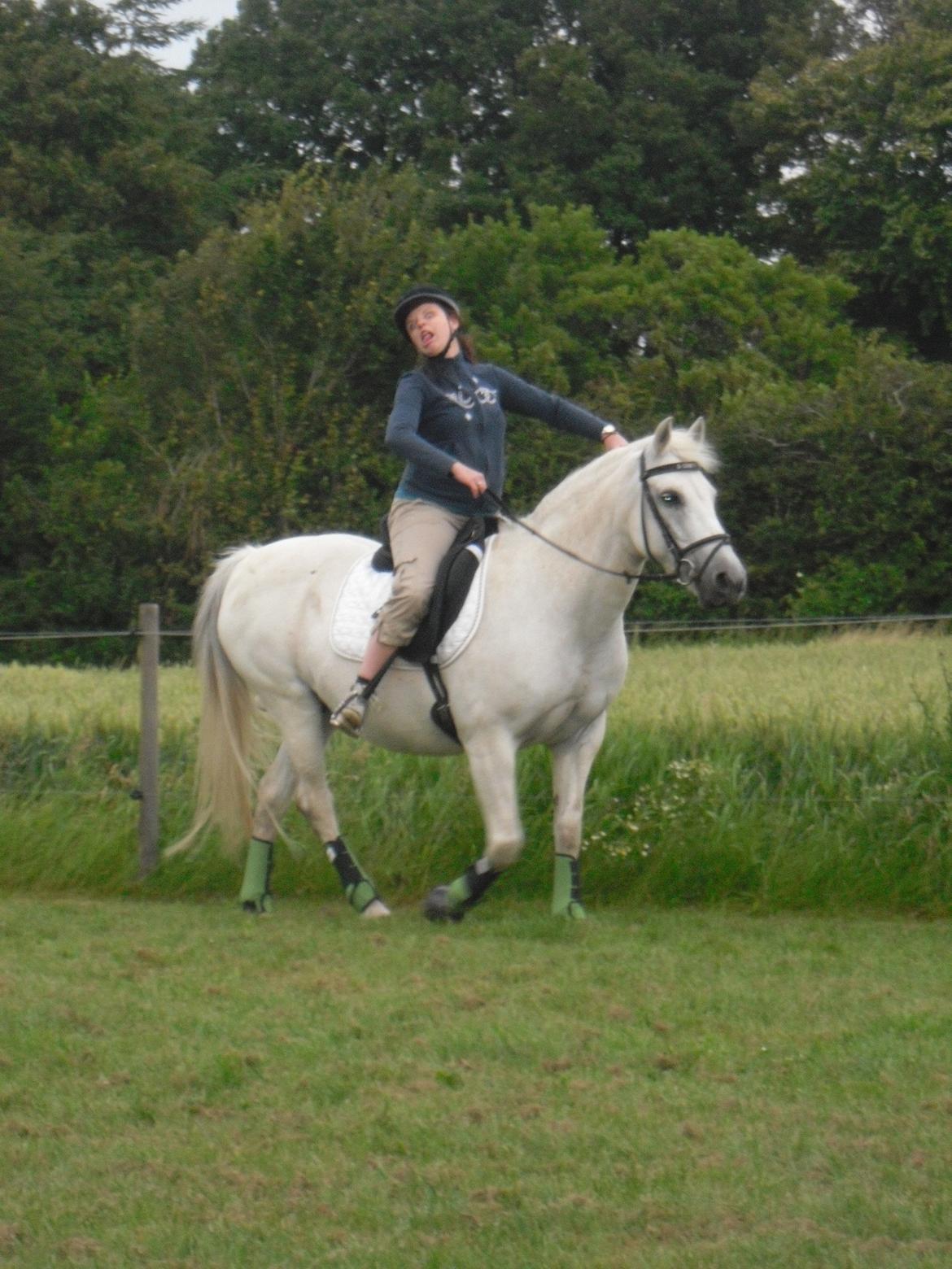 Connemara Schasmin - ja hvad er der at sige.... :-D søster som vi kender hende. billede 15