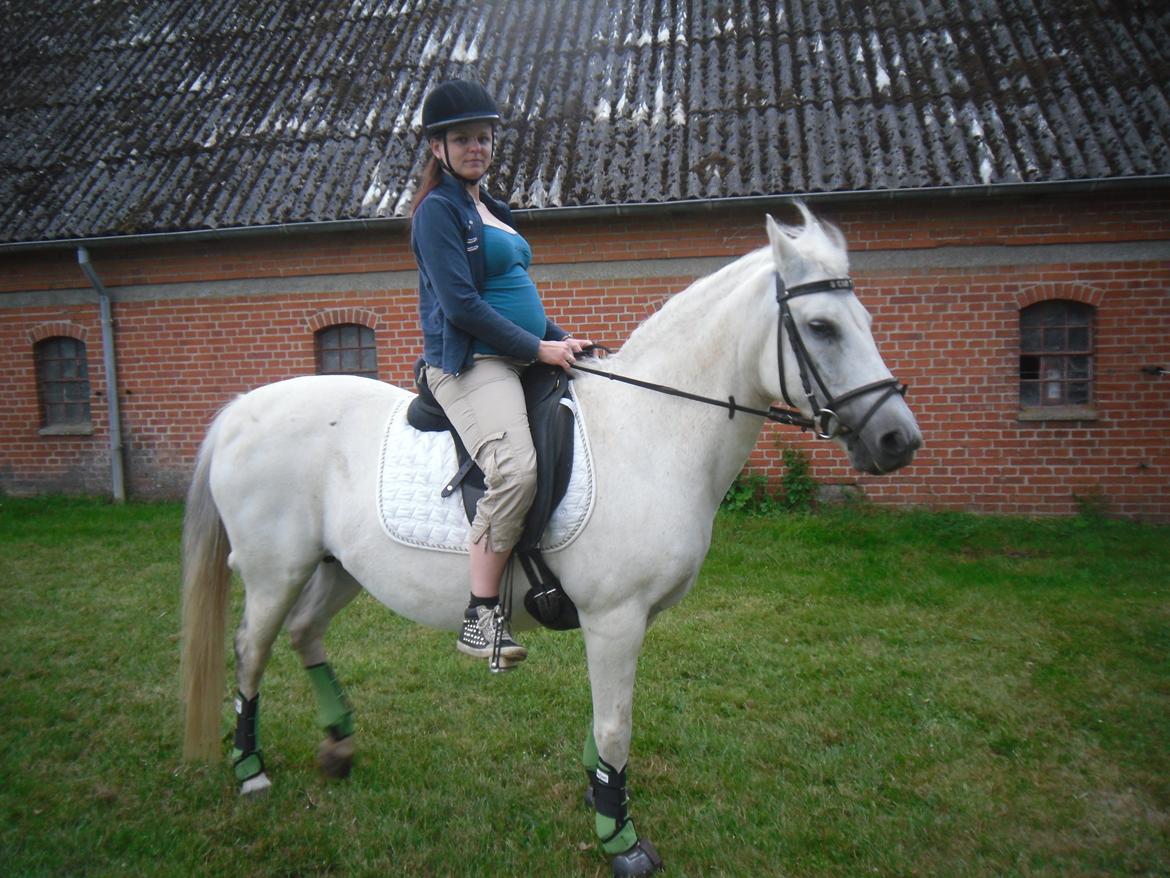 Connemara Schasmin - To tykke tøser :-)... men desværre kun en baby på vej!! billede 16