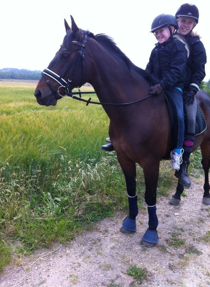 Anden særlig race Zeus (solgt) - På tur<3 billede 4