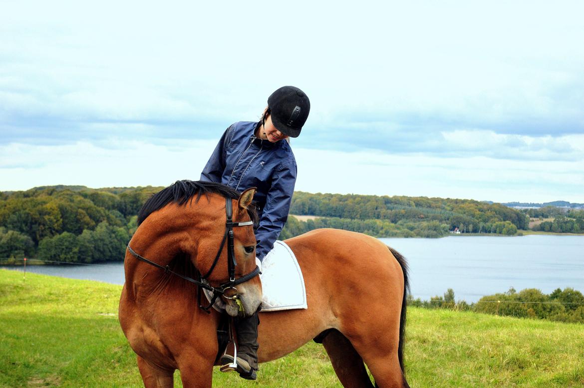 Anden særlig race Armani - min dreng <3 billede 1