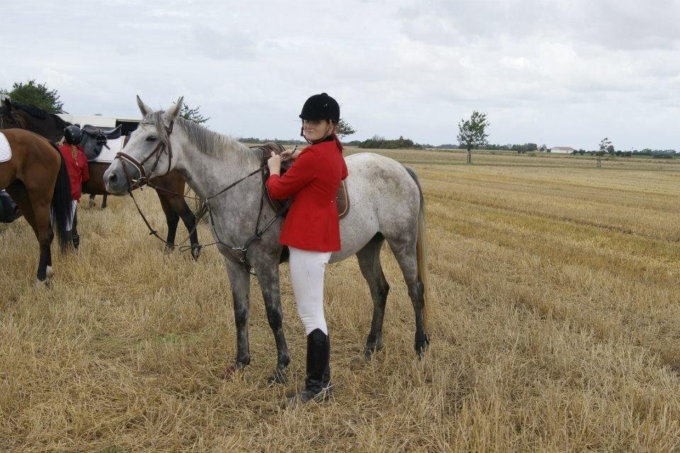 Anden særlig race India billede 29