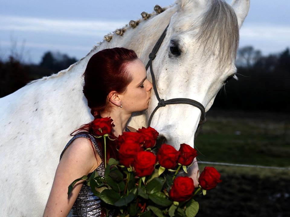 Arabisk fuldblod (OX) Wathana - Et øjeblik gir jeg op og gir slip,
Sekundet efter rejser jeg mig op og kæmper,
Jeg har brug for du ved, det ik engang tårerne jeg husker
Jeg har brug for du ved, jeg vil mindes din glæde
Jeg har brug for dig her, for vi er ik færdige endnu billede 4