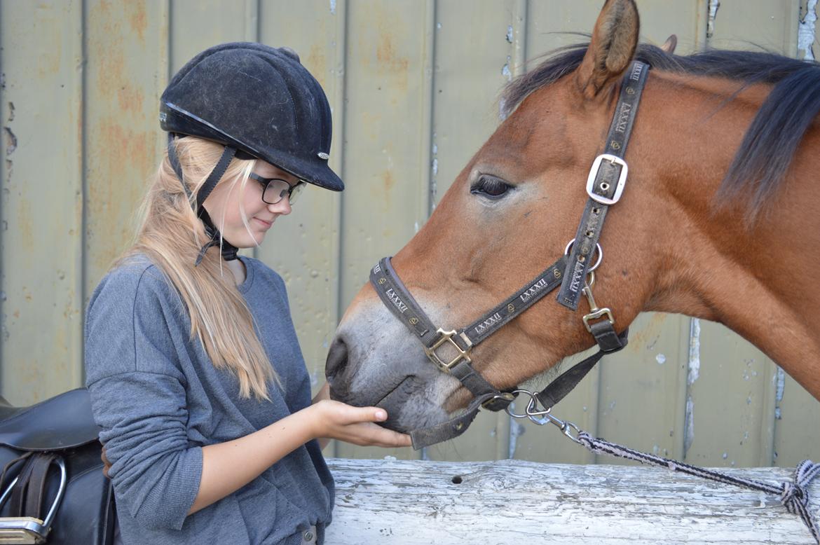 Anden særlig race Armani billede 10
