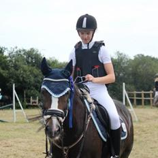 Hollandsk Sportspony Maggie [Himmelhest]