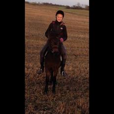 Anden særlig race Lady