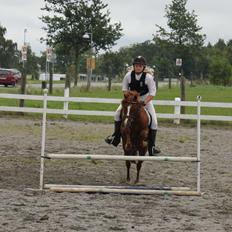 Anden særlig race Ron