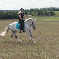Anden særlig race Misti <3