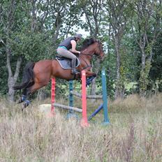 Traver Ja Post-Pub (Popper)