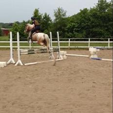 DSP Roosgårdens Caol Ila