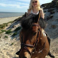 Anden særlig race Lucky