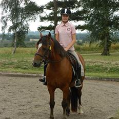 Anden særlig race Midnight