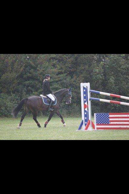 Hollandsk Sportspony Maggie [Himmelhest] - Springstævne - 2013. billede 8