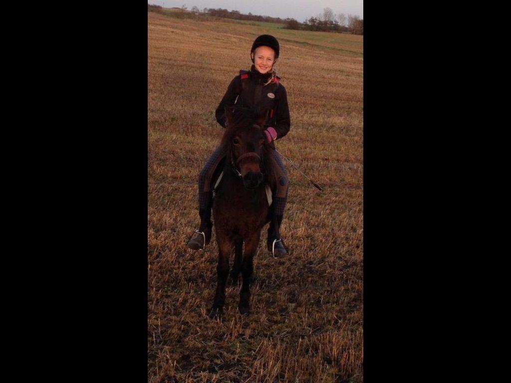 Anden særlig race Lady billede 1