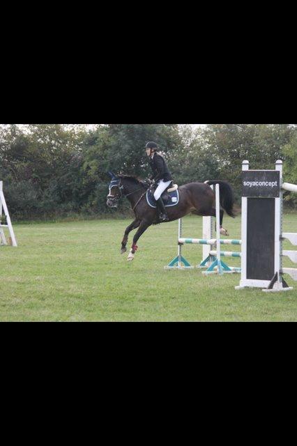 Hollandsk Sportspony Maggie [Himmelhest] - Weee! Hold da op, hun var frisk! Mit allerførste springstævne nogensinde! :-) billede 5