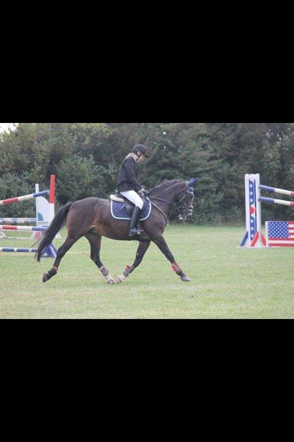 Hollandsk Sportspony Maggie [Himmelhest] - Springstævne - 2013 billede 10