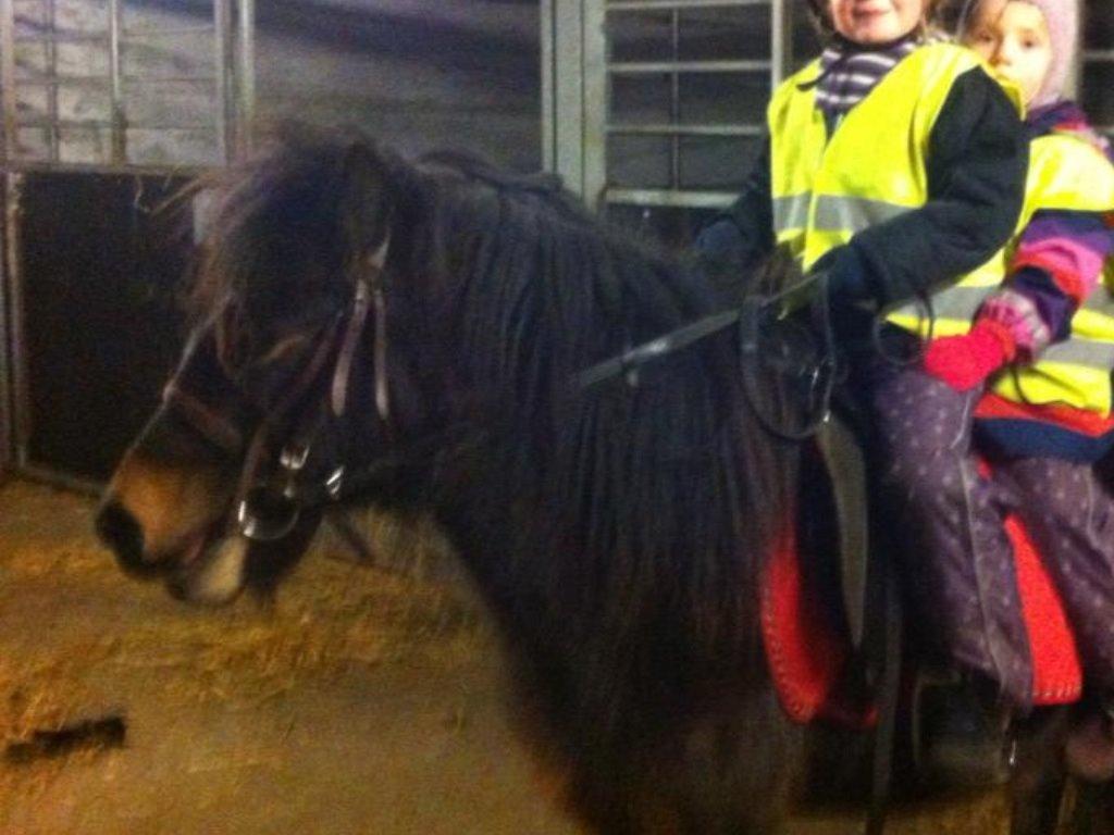 Anden særlig race Lady billede 6