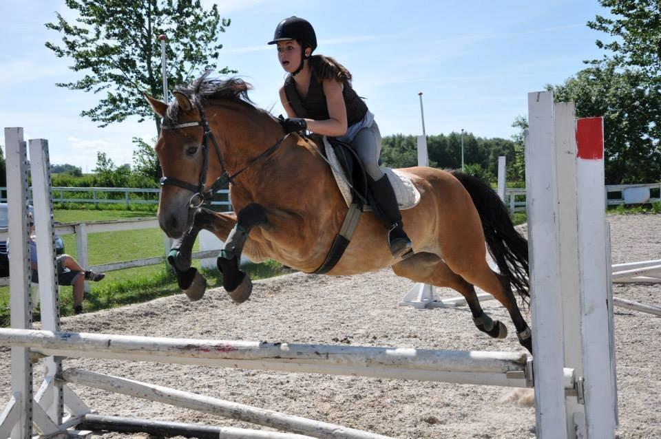 Anden særlig race Armani - første trippelbar! billede 13