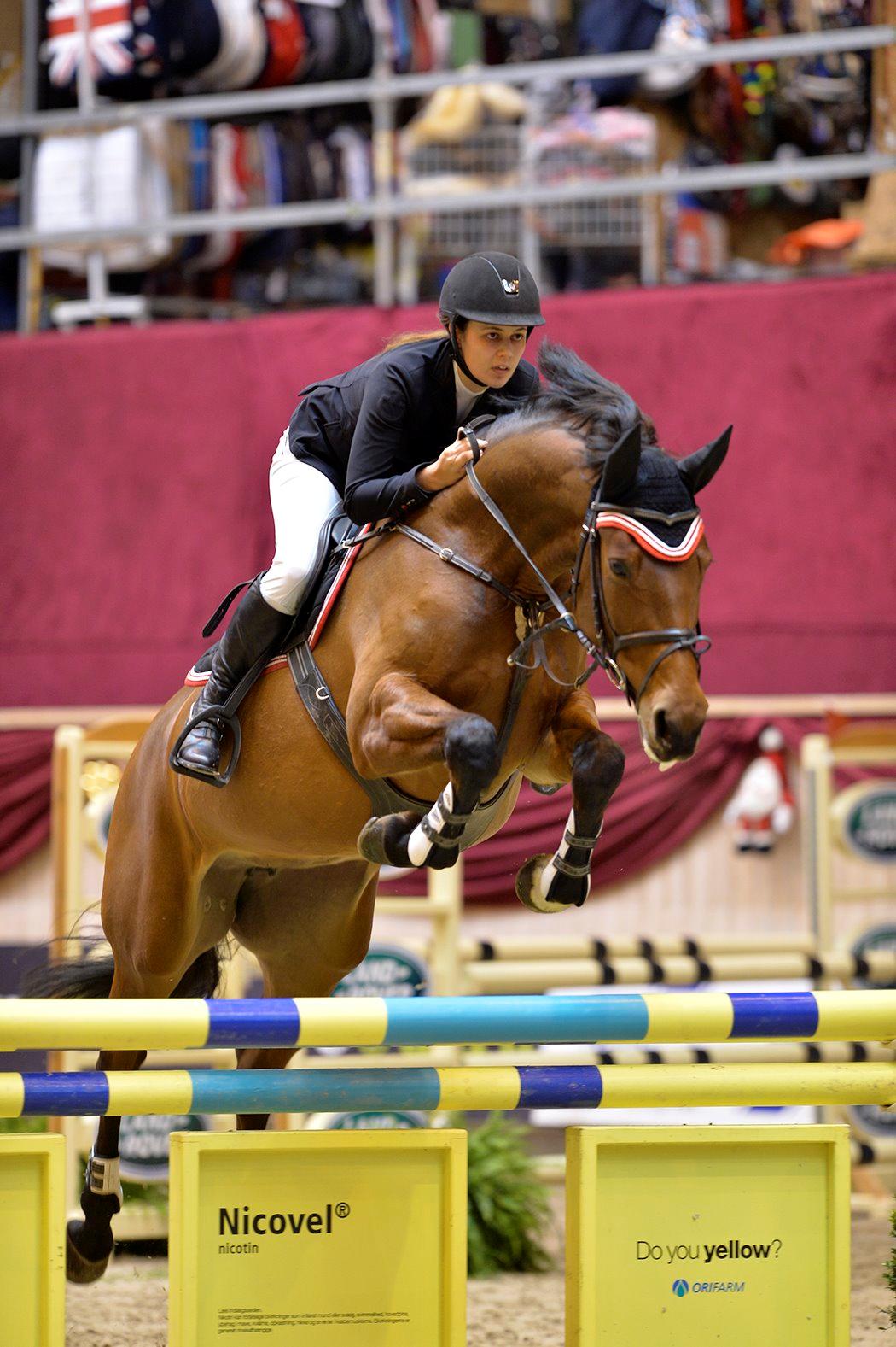 Dansk Varmblod Halina L. - Min lille springloppe :) billede 1