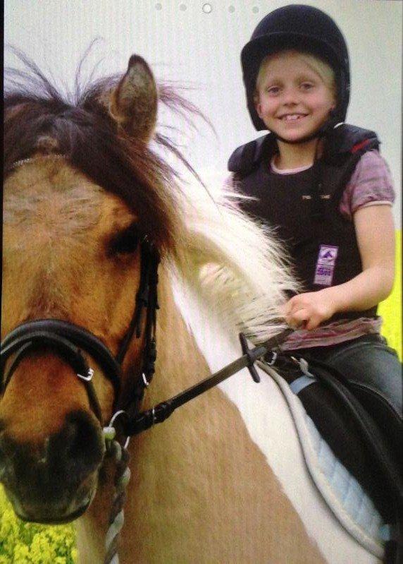 Anden særlig race Zita billede 2