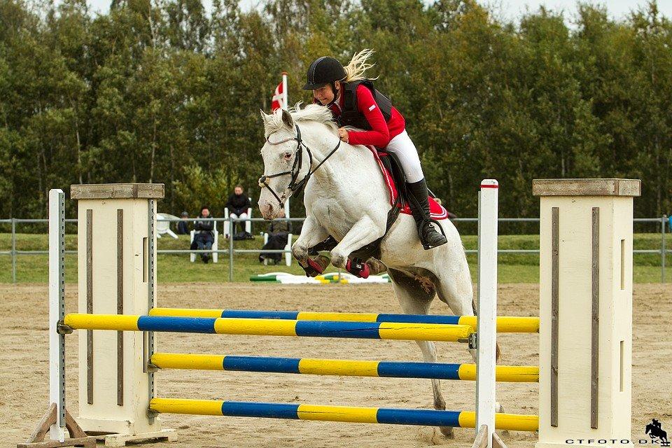 Anden særlig race Jasmine (Snuske) - diskristmesterskab indv. blev nummer 2 !!  billede 2