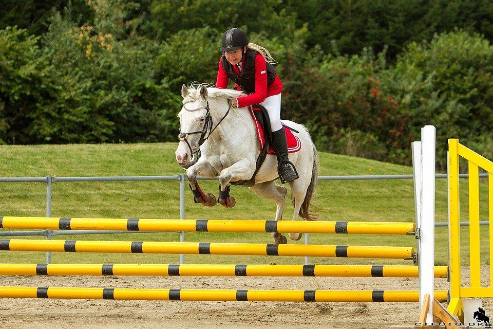 Anden særlig race Jasmine (Snuske) billede 5