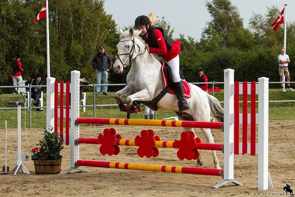 Anden særlig race Jasmine (Snuske) billede 4